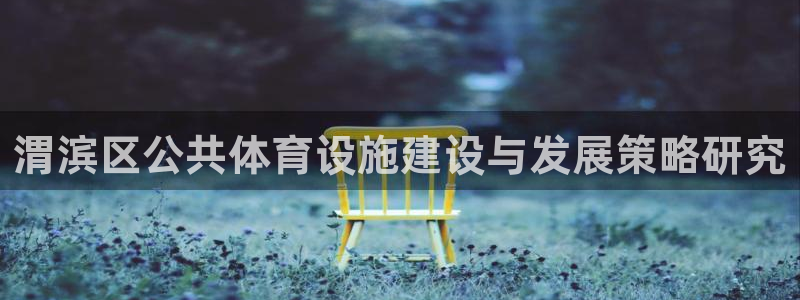 意昂4娱乐：渭滨区公共体育设施建设与发展策略研究