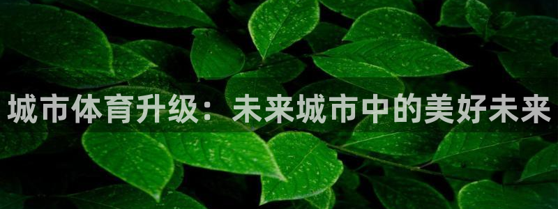 意昂体育4招商电话号码查询：城市体育升级：未来城市中