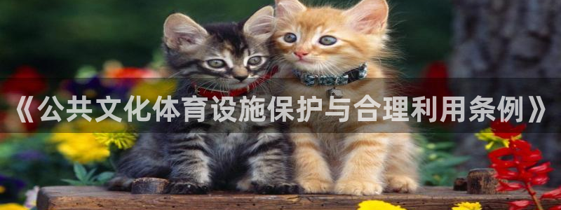 意昂4集团官网首页：《公共文化体育设施保护与合理利用