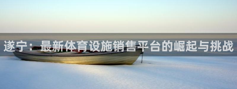 意昂体育4平台APP：遂宁：最新体育设施销售平台的崛