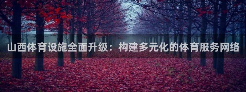 意昂体育4平台注册流程视频：山西体育设施全面升级：构