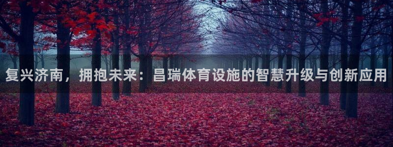 意昂平台体育：复兴济南，拥抱未来：昌瑞体育设施的智慧升级与创