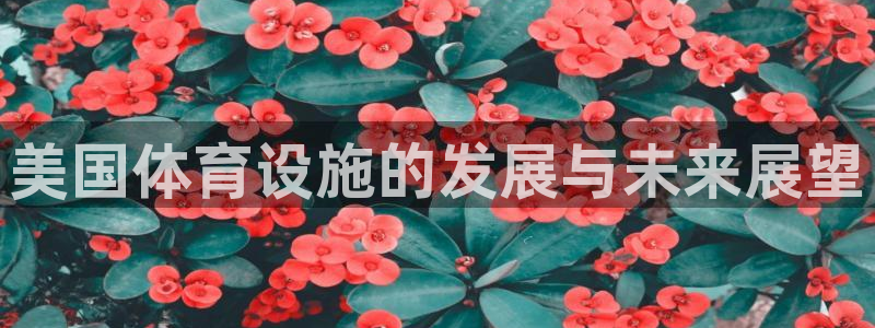 意昂体育4联系电话：美国体育设施的发展与未来展望