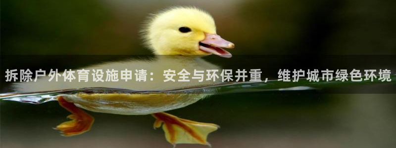 意昂体育4注册：拆除户外体育设施申请：安全与环保并重，维护城