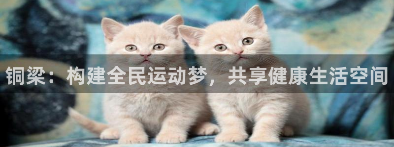 意昂体育4平台注册：铜梁：构建全民运动梦，共享健康生活空间