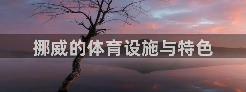 意昂体育4平台是正规平台吗：挪威的体育设施与特色