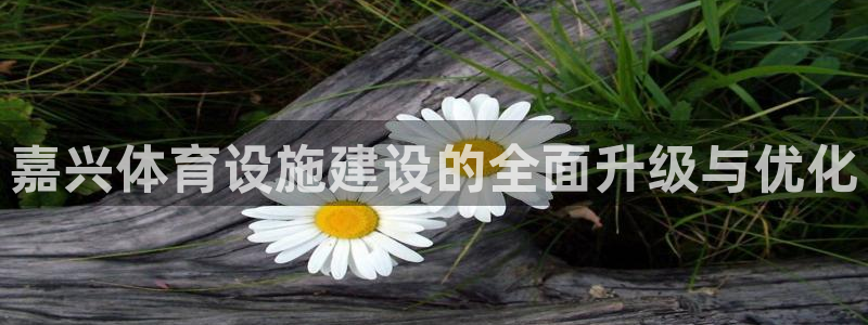 意昂4娱乐下载：嘉兴体育设施建设的全面升级与优化