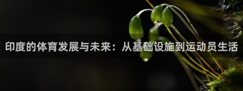 意昂4娱乐首页网站大全：印度的体育发展与未来：从基础