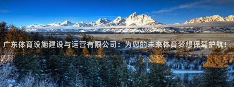 意昂体育4平台注册要钱吗安全吗：广东体育设施建设与运