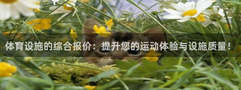 意昂体育4开户：体育设施的综合报价：提升您的运动体验