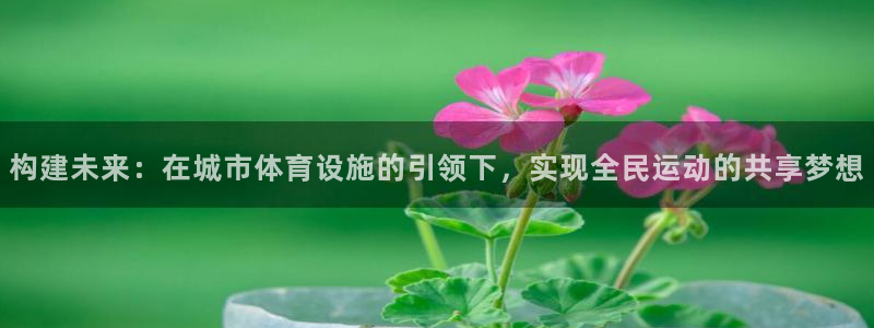 注册意昂4：构建未来：在城市体育设施的引领下，实现全