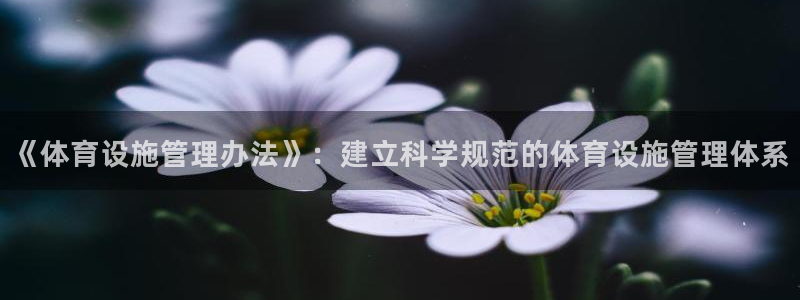 意昂体育4招商电话号码查询：《体育设施管理办法》：建