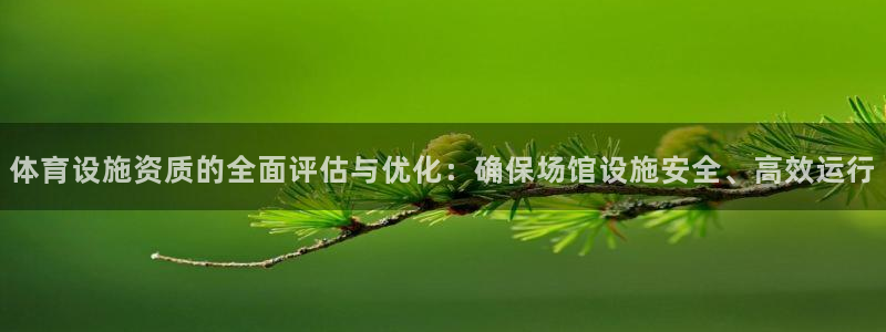 意昂4娱乐首页官网下载：体育设施资质的全面评估与优化：确保场