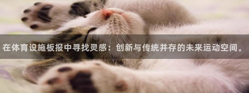 意昂体育4平台注册要钱吗：在体育设施板报中寻找灵感：创新与传