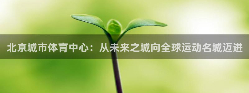 注册意昂4：北京城市体育中心：从未来之城向全球运动名
