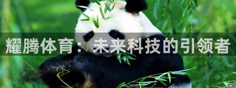 意昂4集团E.ON：耀腾体育：未来科技的引领者