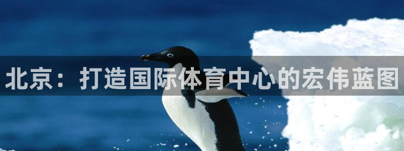 意昂体育4招商电话号码查询是多少：北京：打造国际体育中心的宏