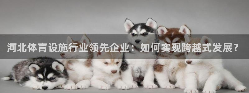 意昂4集团官网网址：河北体育设施行业领先企业：如何实现跨越式