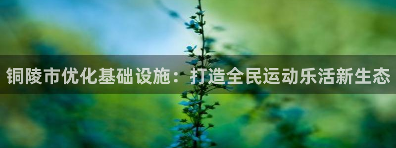 意昂体育4平台注册：铜陵市优化基础设施：打造全民运动乐活新生