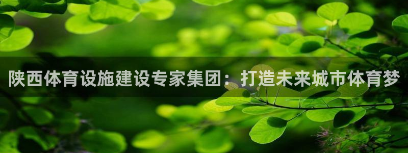 意昂体育4是干嘛的公司：陕西体育设施建设专家集团：打造未来城