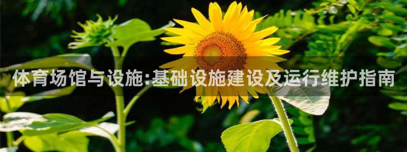 意昂体育4招商电话是多少：体育场馆与设施:基础设施建设及运行