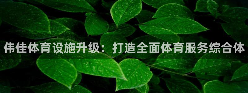 意昂体育4招商：伟佳体育设施升级：打造全面体育服务综合体 