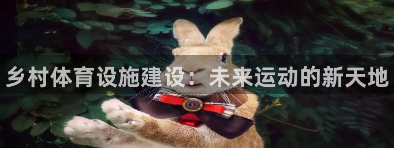 意昂集团官网：乡村体育设施建设：未来运动的新天地